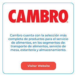 Descripción de la imagen